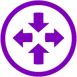 Automated IP Access &amp; Aggregation Routing:  NPT (Neptune) card icon